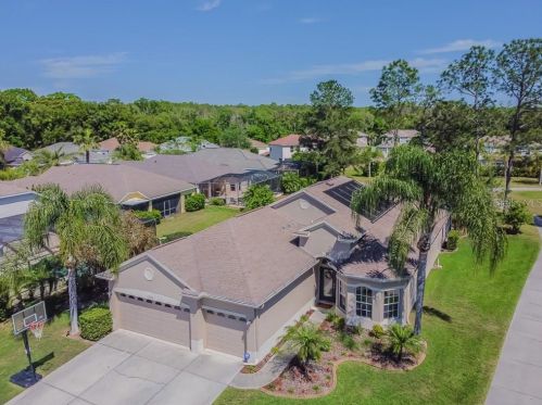 23940 Plantation Palms Blvd, Land O Lakes, FL 34639-8801