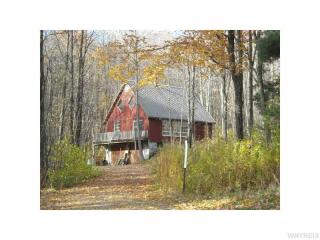 4551 Canada Hill Rd, Machias, NY