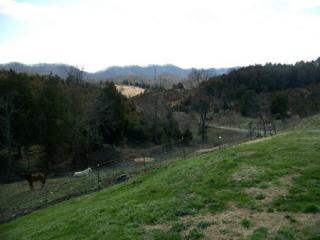 8397 Highway 66, Rogersville, TN 37857-7363