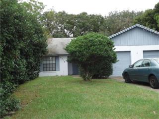 2516 Olive Branch Way, Orlando, FL 32817-2769