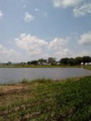 6317 Morattico Rd, Lancaster, VA 22503-3221