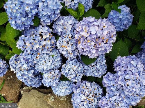 1139 Wilson Ave, Glen Mills PA  19342-9610 exterior