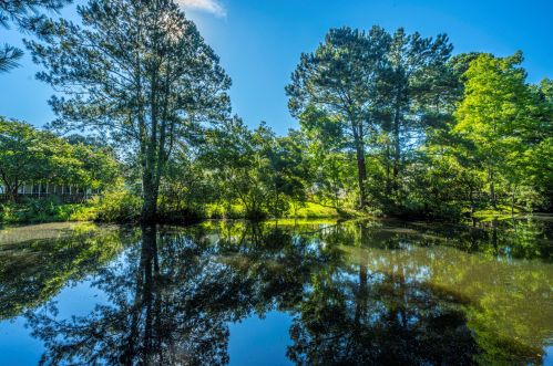 1529 Cypress Pointe Dr, Mount Pleasant, SC 29466-8714