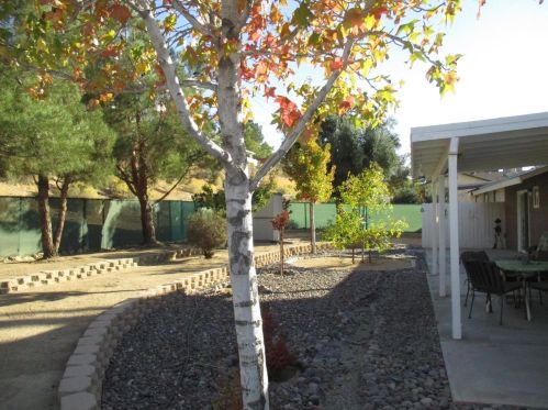 14289 Brentwood Dr, Victorville, CA 92395-4666