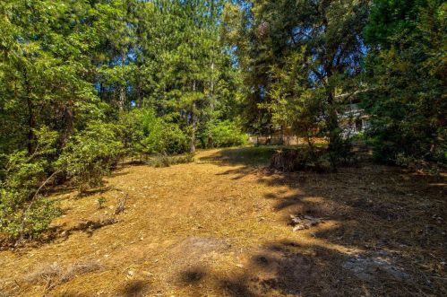 23720 Bonanza Rd, Pioneer CA  95666-9323 exterior