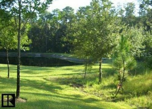 3635 Trafalgar Way, Palm Harbor FL  34685-4175 exterior