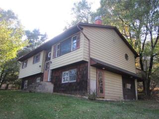 82 Weber Ln, Olive, NY 12461-5509