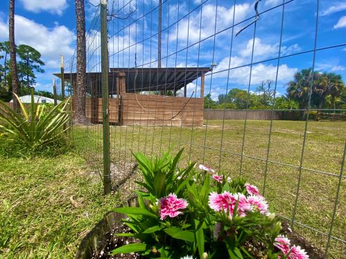 15817 Key Lime Blvd, Town Of Loxahatchee Groves FL  33470-3118 exterior