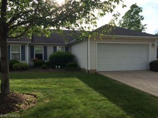 3856 Dartford Ln, Medina, OH 44256-7063