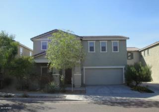 17460 185th Ln, Sun City, AZ 85374-3918