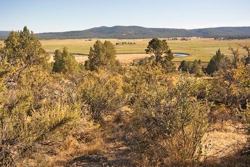 29051 Kootenai St, Chiloquin, OR 97624-6039