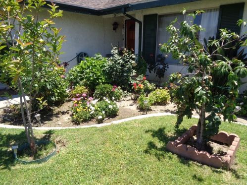 4435 Roosevelt St, Chino CA  91710-3225 exterior