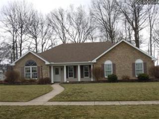 1052 Woodland Chase, North Eaton, OH 44044-1261