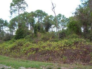 204 Hazel Ave, Georgetown, FL 32139-0029