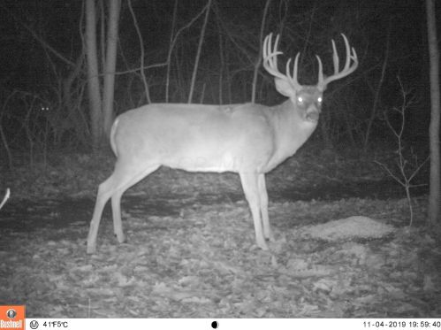 9181 Avon Rd, Salineville OH  43945-9407 exterior