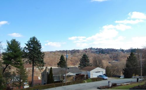414 Leavitt St, Pittsburgh, PA 15226-1122