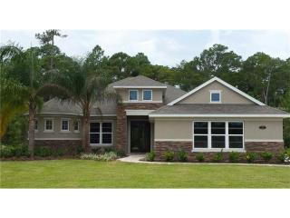 461 Heatherton Ct, De Bary, FL 32713-4925