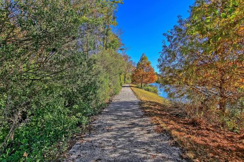 1713 Lauda Dr, Mount Pleasant SC  29464-9601 exterior