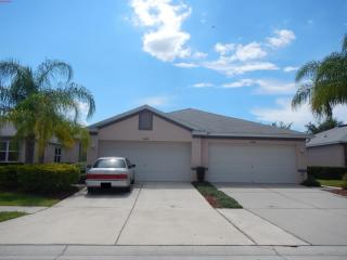 11554 Captiva Kay Dr, Riverview, FL 33569-2054