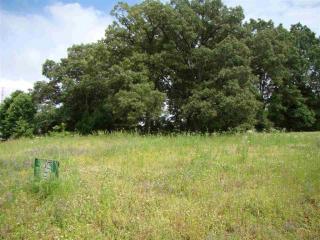 124 Jabez Dr, Medina, TN 38355-8807