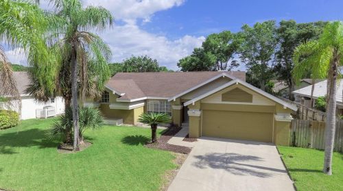 1546 Sand Hollow Ct, Palm Harbor, FL 34683-4641