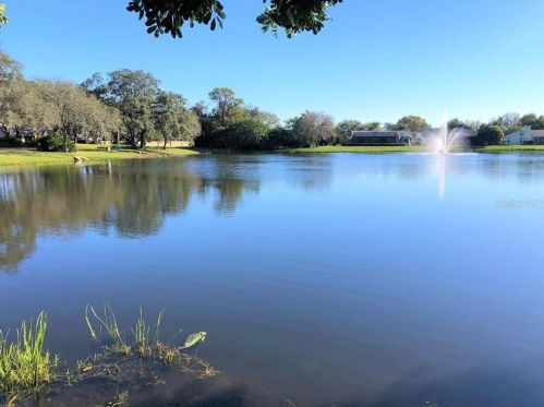2800 Windridge Dr, Tarpon Springs, FL 34691-2613