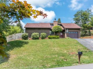 917 Clara Dr, Kingsport, TN 37660-1105