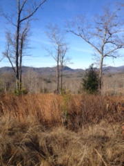 1300 New Stansbury Rd, Turtletown TN  37391-4633 exterior