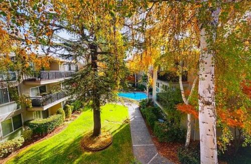 181 Del Medio Ave, Mountain View CA  94040-1070 exterior