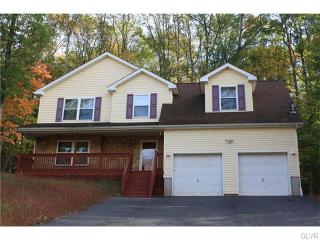 259 Snow Valley Dr, Drums, PA 18222-1138