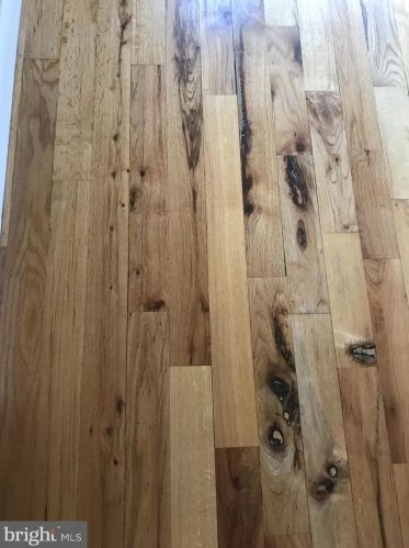 22 Chatham Ct, Dover DE  19901-3909 exterior