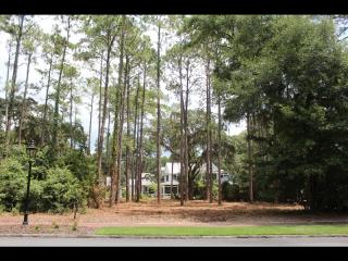 117 Stallings Island St, Bluffton SC  29910-8362 exterior