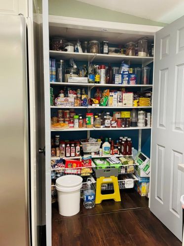 2922 Dodge Dr, Polk City FL  33868-3043 exterior