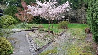25306 212th Pl, Maple Valley WA  98038-7532 exterior