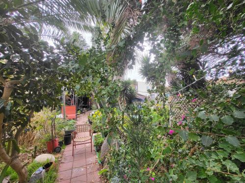 4867 Lotus St, San Diego, CA 92107-1318