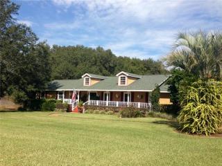 17585 Highway 450, Umatilla, FL 32784-8139