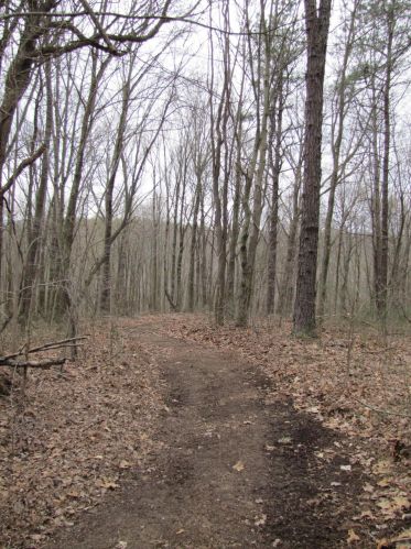 24480 Bushby Rd, Laurelville OH  43152-9712 exterior