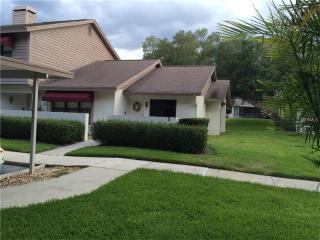 731 Oak Park Pl, Brandon, FL 33511-6271