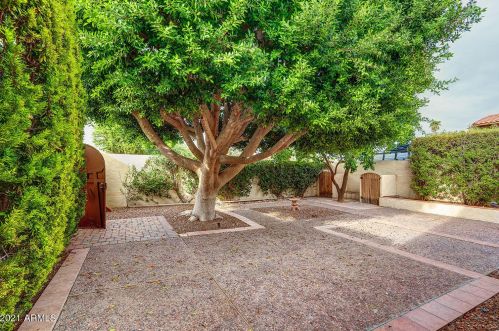 7651 Edgemont Ave, Scottsdale AZ 85257-1815 exterior