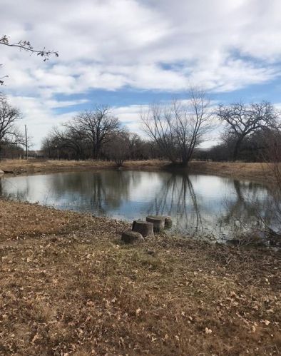 101 Leatherman Ln, Weatherford, TX 76088-5431