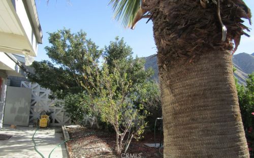 60431 Palm Oasis Ave, Palm Springs CA  92262-1050 exterior