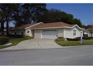 17574 100th Ct, Summerfield, FL 34491-8959