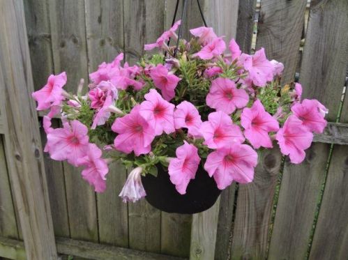 2225 107, Milwaukee WI 53226-2321 exterior