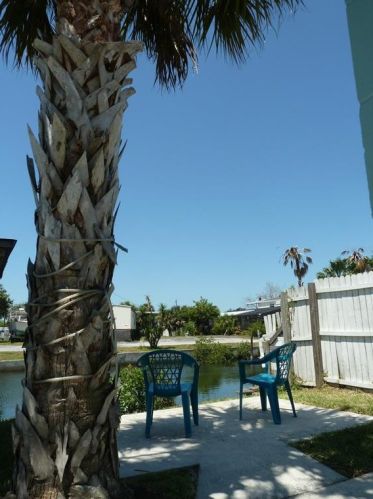 13231 Jacaranda Ln, Port Richey FL  34667-1630 exterior