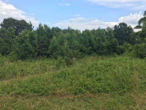 151 Pine Needles Rd, Reidsville, NC 27320-8446