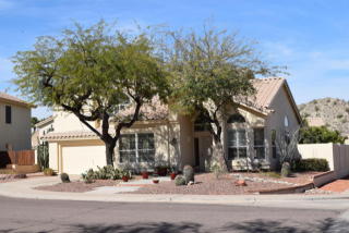 11002 Palomino Ln, Goodyear, AZ 85338-9735