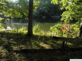 21 Island Dr, Copake, NY 12516-1025