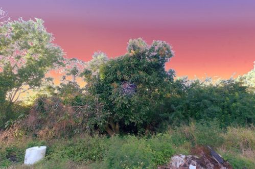 2260 Keane Ave, Naples, FL 34117-1108