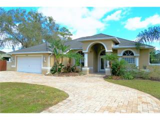 1316 Osceola Hollow Rd, Odessa, FL 33556-3823