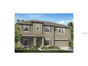 13819 Artesa Bell Dr, Riverview, FL 33579-2393